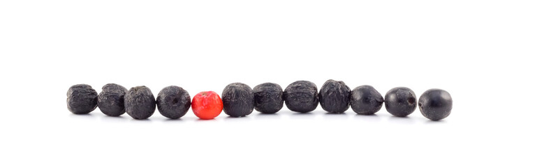 Rowan berries lie in a row on a white background