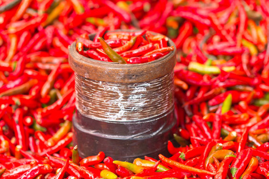 pinte de petits piments rouges, R&eacute;union