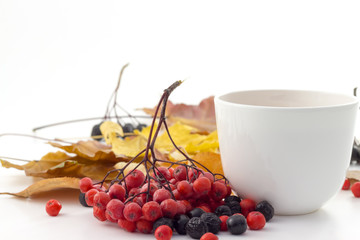 White mug of tea on a white background with autumn leaves