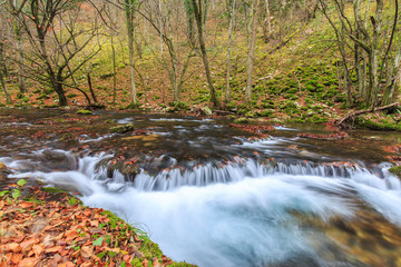  Beautiful waterfalls and autumn foliage in the forest