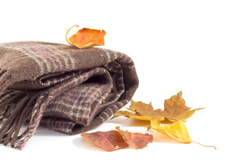Brown scarf and autumn leaves on a white background