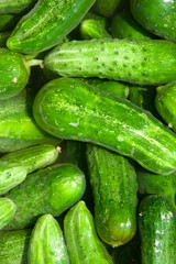 cucumbers