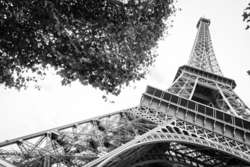 Fototapeta premium Tour Eiffel in Paris