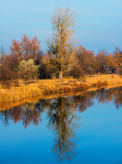 Fototapeta premium landscape