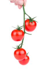 tomatoes cherry