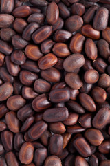 Samanea saman rain tree seeds (vilaiti siris)
