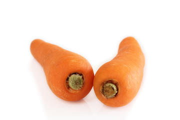 Carrot is vagetable.