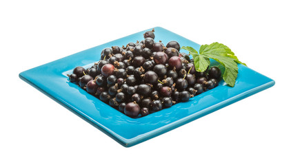Black currant