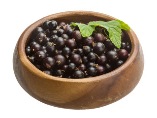 Black currant