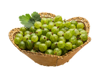 Gooseberry