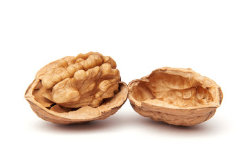 Common Walnut (juglans regia)
