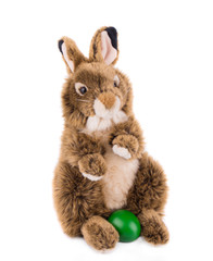 rabbit toy isolated