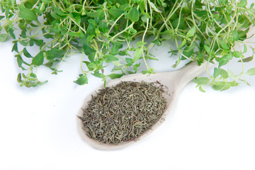 fresh and dried thyme