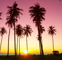 Obraz premium Night is Coming Sunset Divine