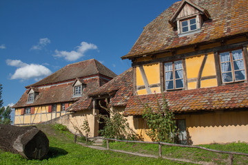 Fototapeta premium Maisons anciennes alsaciennes à Ungersheim, Alsace
