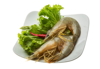 Tiger prawn