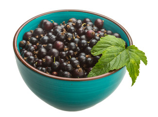 Black currant
