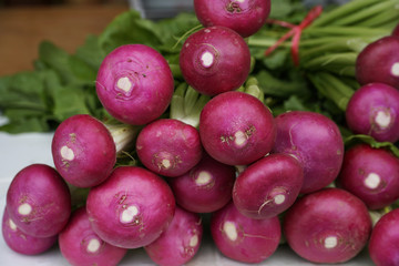 五箇山の赤かぶ