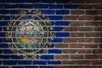 Brick wall texture with flag