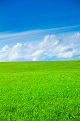 Outdoor Background Field