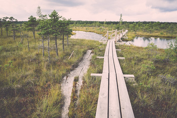 swamp view with lakes and footpath. Vintage.