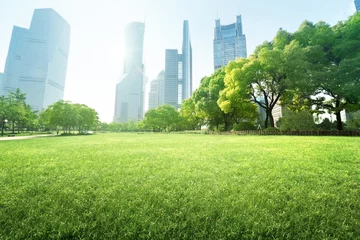 Fotobehang park in  lujiazui financial centre, Shanghai, China © Iakov Kalinin