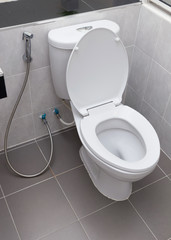 white flush toilet in modern bathroom interior