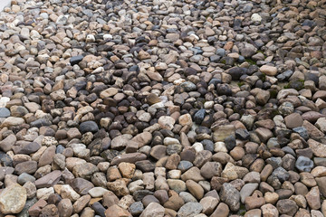 pebble stone texture background