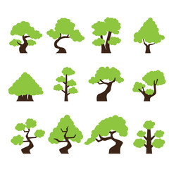 Fototapeta premium tree icon
