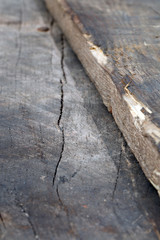 Altes Holz