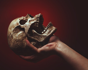 hand holding a skull