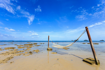 Fototapeta premium hammock between on tropical beach in Koh Samui