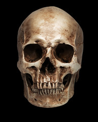 Obraz premium skull-close mouth