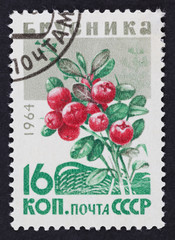 USSR postage stamp Cowberry