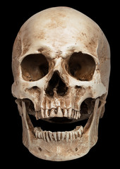 Obraz premium skull-open mouth