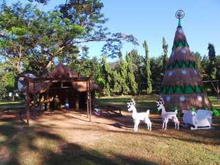 Nativity and Christmas tree