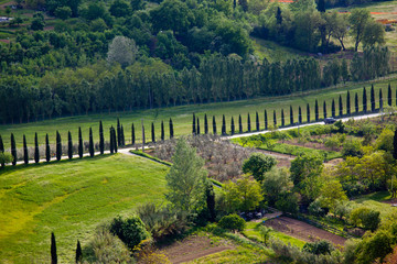 Typical Tuscan landscape