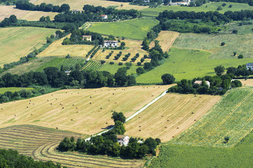Summer landscape in Marches (Italy)