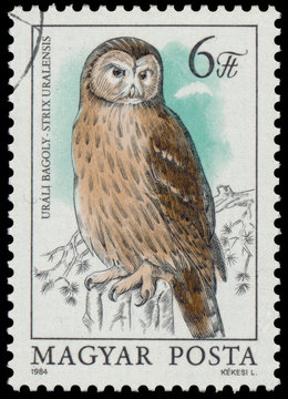Stamp shows image of an Ural Owl