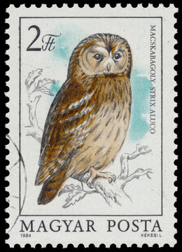 Stamp shows image of a Tawny Owl
