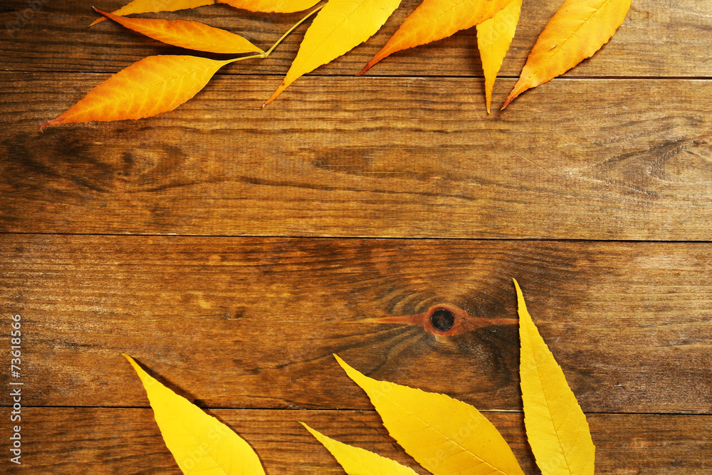 Wall mural beautiful autumn leaves on wooden background