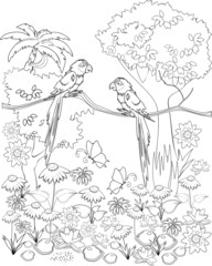 Coloring with parrots on branch