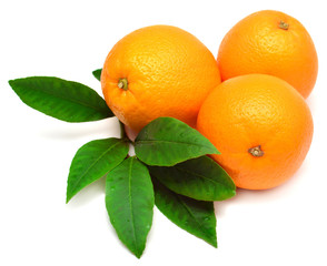 Sweet orange fruit with leaf