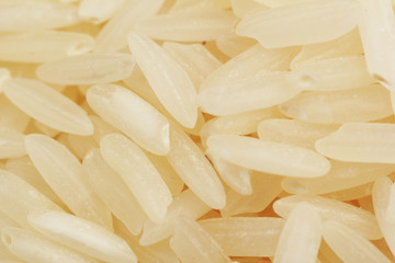 Fototapeta na wymiar Close-up of rice (macro)