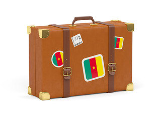 Suitcase with flag of cameroon