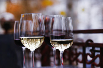 Wine tasting in bar