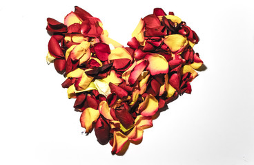 Heart shape made of roses
