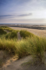Fototapeta na wymiar Summer evening landscape view over grassy sand dunes on beach