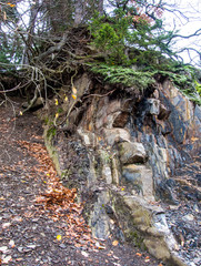 Felswand im Steinbruch am Bromberg
