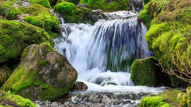 Small waterfall with clear spring water in wild nature